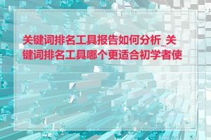 关键词排名工具报告如何分析_关键词排名工具哪个更适合初学者使用