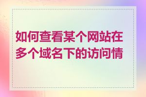 如何查看某个网站在多个域名下的访问情况