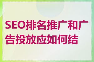 SEO排名推广和广告投放应如何结合