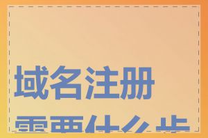 域名注册需要什么步骤