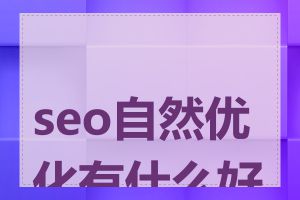 seo自然优化有什么好处