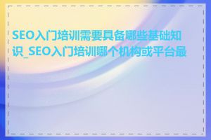 SEO入门培训需要具备哪些基础知识_SEO入门培训哪个机构或平台最好