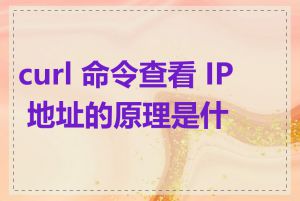 curl 命令查看 IP 地址的原理是什么