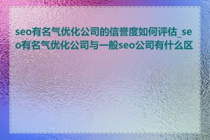 seo有名气优化公司的信誉度如何评估_seo有名气优化公司与一般seo公司有什么区别