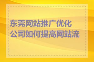 东莞网站推广优化公司如何提高网站流量