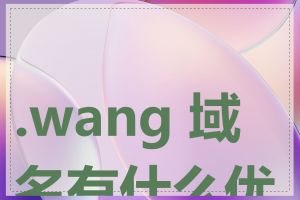 .wang 域名有什么优势