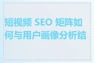 短视频 SEO 矩阵如何与用户画像分析结合