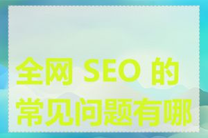 全网 SEO 的常见问题有哪些