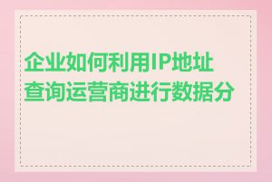 企业如何利用IP地址查询运营商进行数据分析