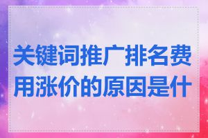 关键词推广排名费用涨价的原因是什么