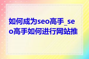 如何成为seo高手_seo高手如何进行网站推广