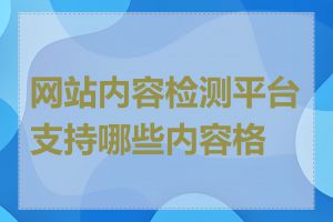 网站内容检测平台支持哪些内容格式