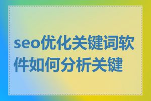 seo优化关键词软件如何分析关键词