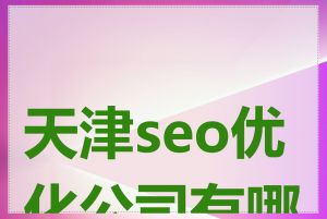 天津seo优化公司有哪些