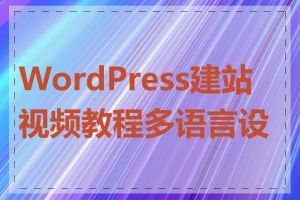 WordPress建站视频教程多语言设置