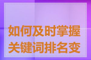 如何及时掌握关键词排名变化