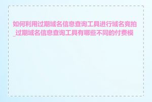 如何利用过期域名信息查询工具进行域名竞拍_过期域名信息查询工具有哪些不同的付费模式