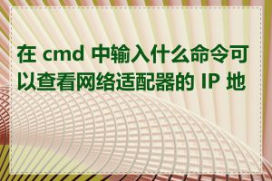 在 cmd 中输入什么命令可以查看网络适配器的 IP 地址