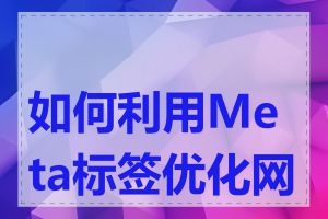 如何利用Meta标签优化网页