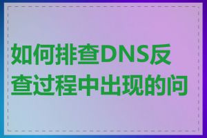 如何排查DNS反查过程中出现的问题