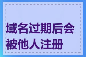 域名过期后会被他人注册吗