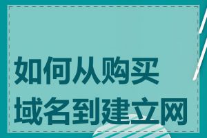 如何从购买域名到建立网站