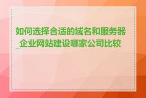 如何选择合适的域名和服务器_企业网站建设哪家公司比较好