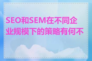 SEO和SEM在不同企业规模下的策略有何不同