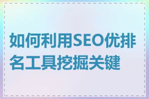 如何利用SEO优排名工具挖掘关键词