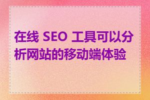 在线 SEO 工具可以分析网站的移动端体验吗