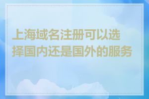 上海域名注册可以选择国内还是国外的服务商