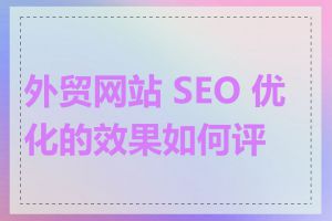 外贸网站 SEO 优化的效果如何评估