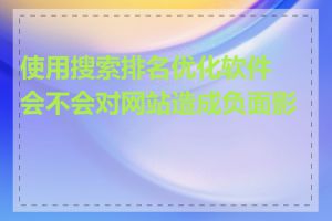 使用搜索排名优化软件会不会对网站造成负面影响