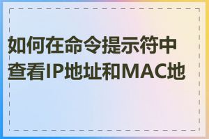 如何在命令提示符中查看IP地址和MAC地址