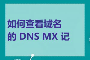 如何查看域名的 DNS MX 记录