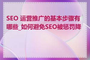 SEO 运营推广的基本步骤有哪些_如何避免SEO被惩罚降权