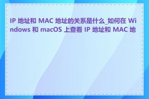 IP 地址和 MAC 地址的关系是什么_如何在 Windows 和 macOS 上查看 IP 地址和 MAC 地址