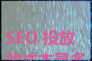 SEO 投放的成本是多少