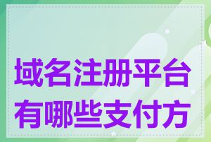 域名注册平台有哪些支付方式