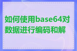 如何使用base64对数据进行编码和解码