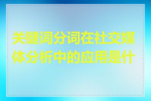 关键词分词在社交媒体分析中的应用是什么