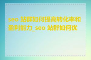 seo 站群如何提高转化率和盈利能力_seo 站群如何优化