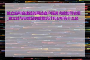 独立站和自建站的网站客户服务功能如何实现_独立站与自建站的数据统计和分析有什么区别