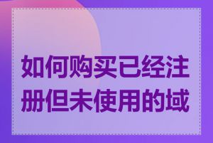 如何购买已经注册但未使用的域名