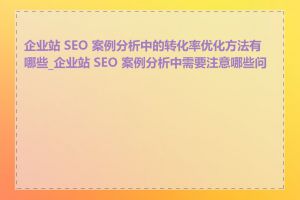 企业站 SEO 案例分析中的转化率优化方法有哪些_企业站 SEO 案例分析中需要注意哪些问题