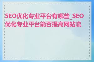 SEO优化专业平台有哪些_SEO优化专业平台能否提高网站流量