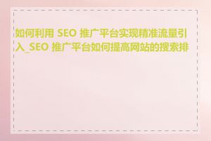 如何利用 SEO 推广平台实现精准流量引入_SEO 推广平台如何提高网站的搜索排名