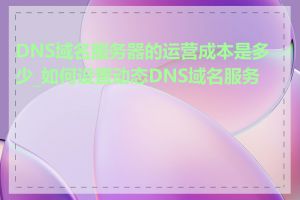 DNS域名服务器的运营成本是多少_如何设置动态DNS域名服务器