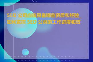 SEO 公司应该具备哪些资质和经验_如何监控 SEO 公司的工作进度和效果