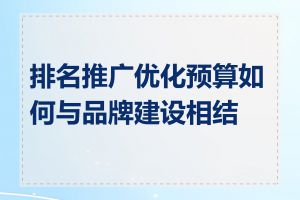 排名推广优化预算如何与品牌建设相结合